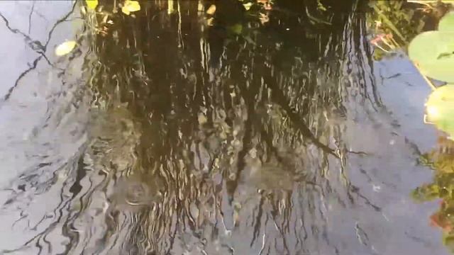 Сады Ротшильда.Ganei HaNadiv