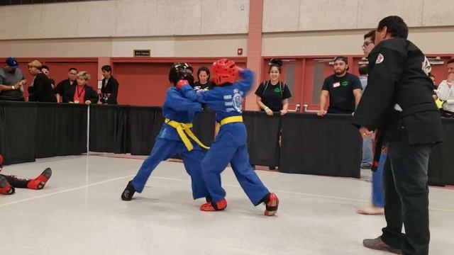 Karate Okinawa Kempo,
