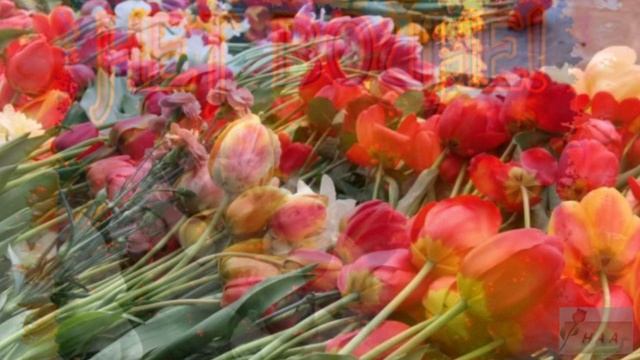 0ada34bce750efc6b1868a90c808aefc