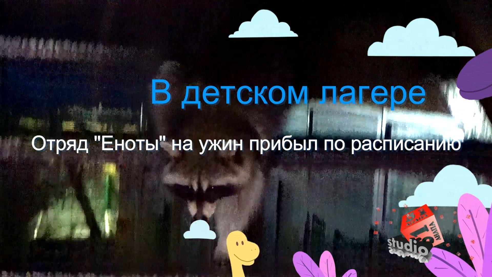 Еноты на ужине...