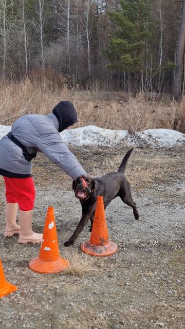 886641c0b12c67fd12d6db728ae76355