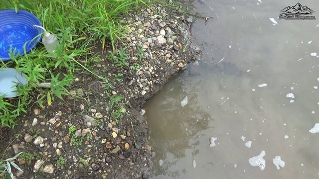 По зову души!