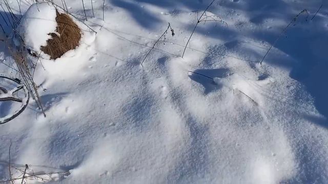 КоП на торфяниках !!!