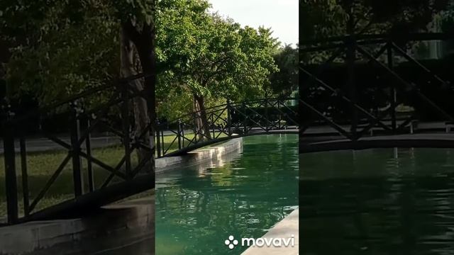 C699fe73fffec9188b5b21508b05965b