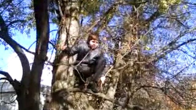 Паркур по русски(Переднее Сальто)!!!!!!!!!