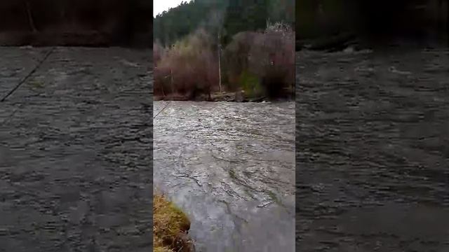 1d38504a86ec5c8f2407b0556a1c9e3a