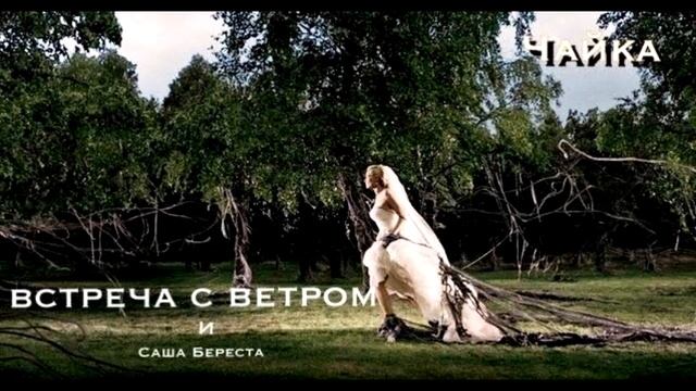 Встреча с ветром - Чайка