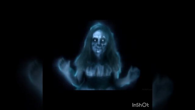 InShot_20250406_103423142.mp4