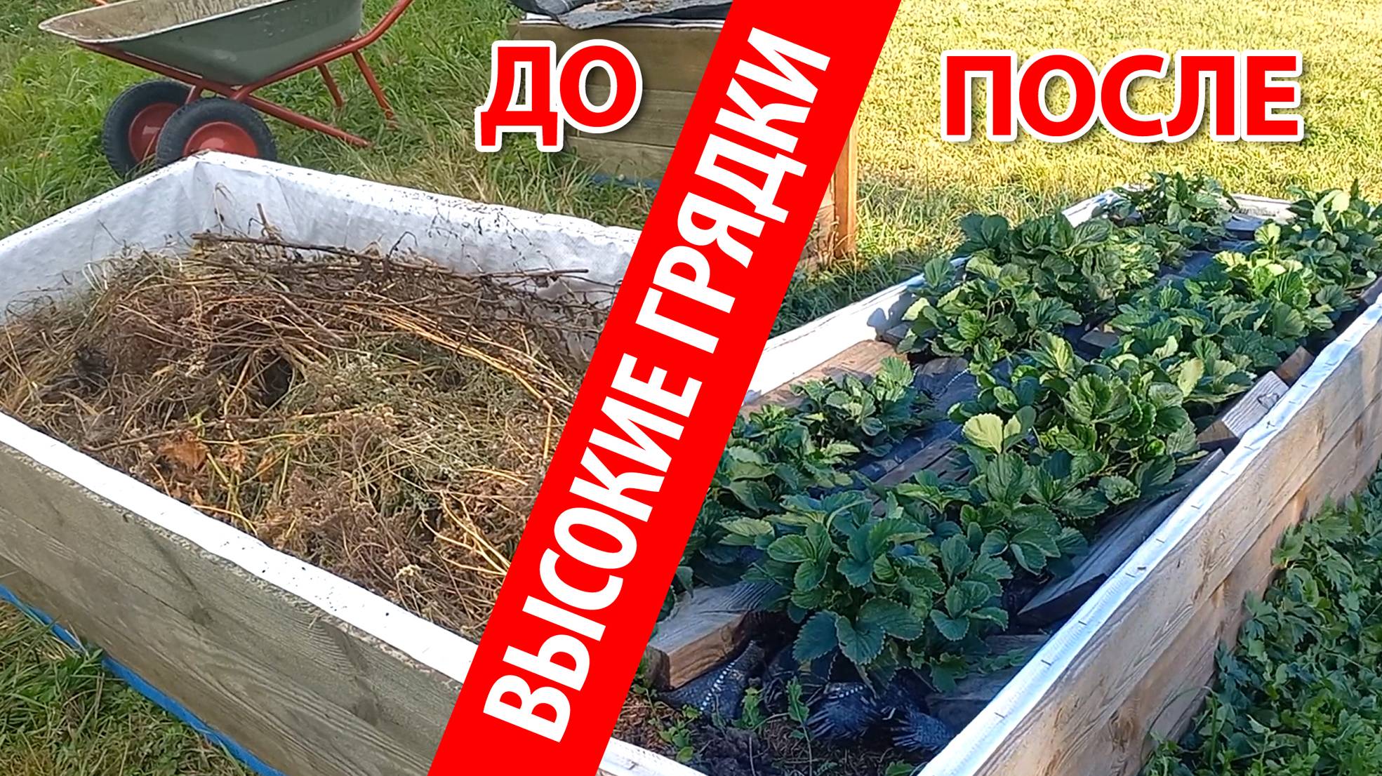 97a187e60758f7fefce7bad1214f43ab