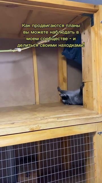 Я и мои необъятные планы