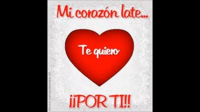 D00cddaa9853f3d90eace7029afaf446