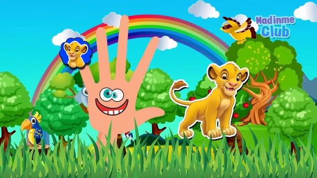 The lion King finger family song  lion king butter fingers  lion king finger style