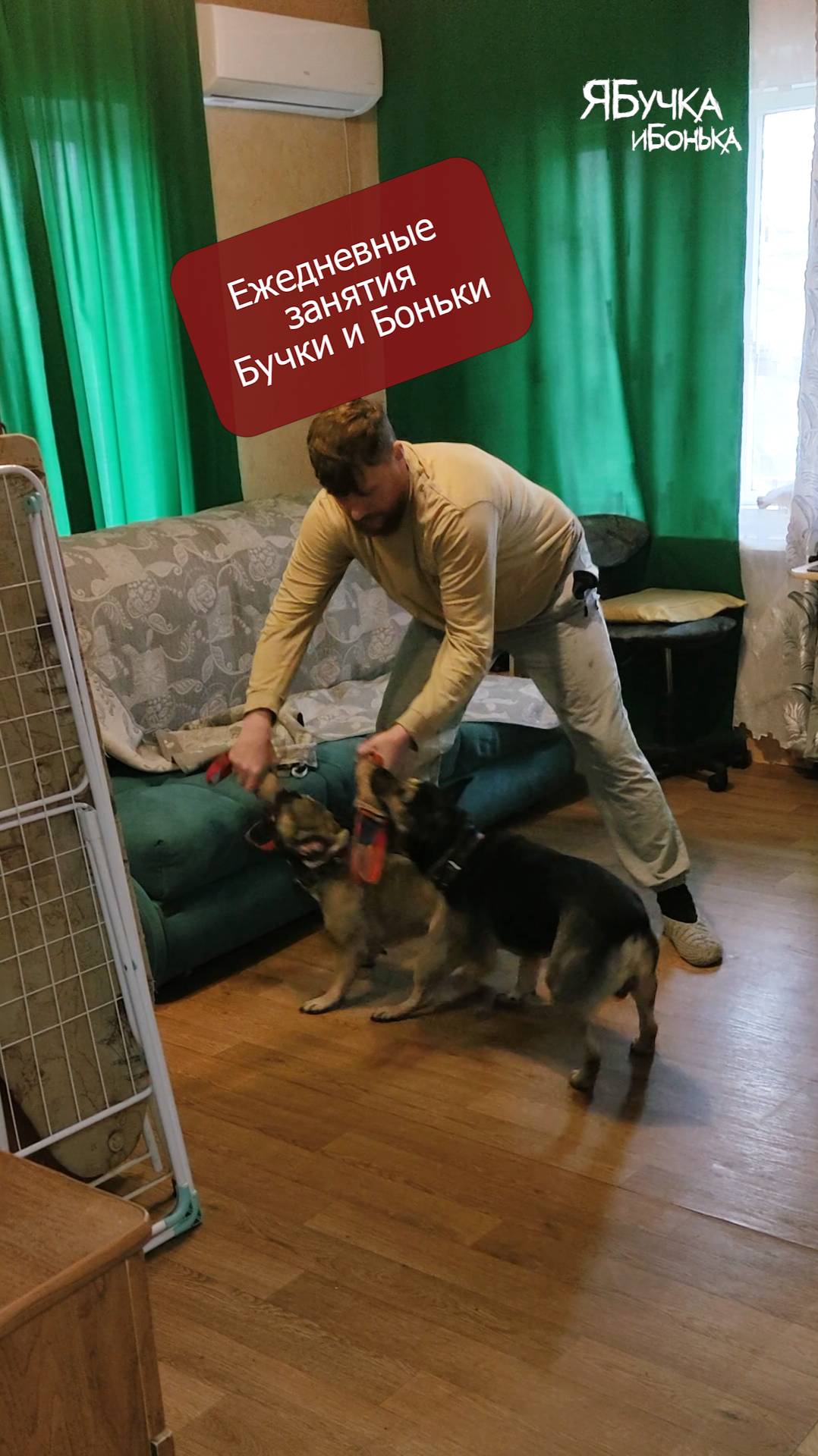 Ежедневные занятия Бучки и Боньки.