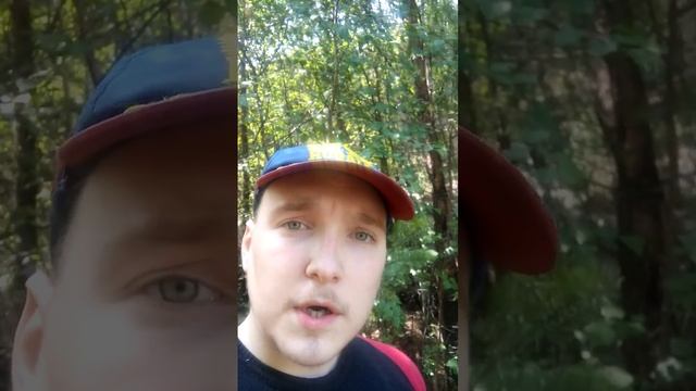 Я.в.лесу.пикник.2016