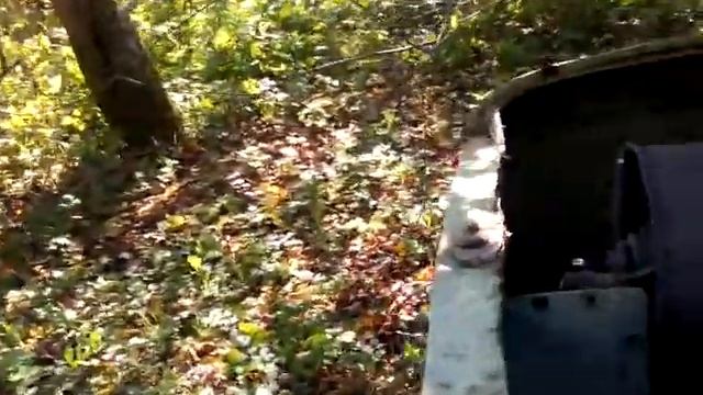 Реставрация волка .заз 968 м.