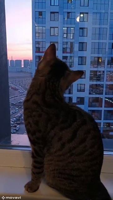 Моя любовь на пятом этаже