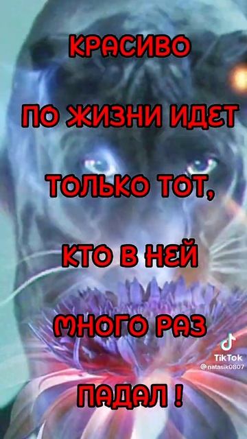 Жизнь бумеранг.