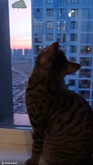 Кто то там на верху