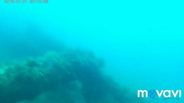 чёрное море ⛵