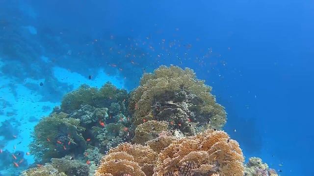 2022 Egypt Aurora Bay Resort