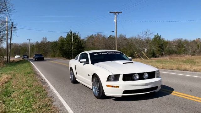 Happy National Mustang Day 2019 - Compilation
