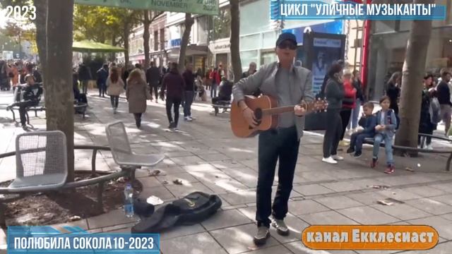 Песня Полюбила сокола  автор и исполнитель Геннадий Либгардов.