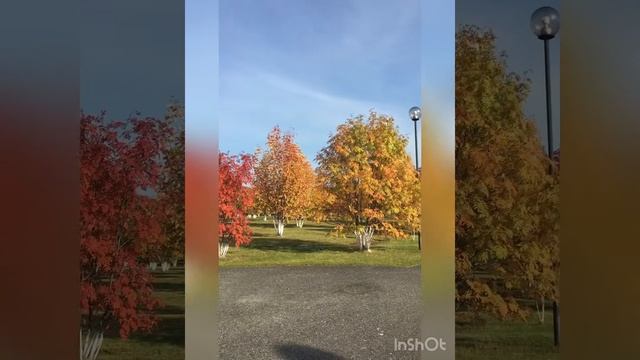 Рябиновый бульвар ❤️💛💚🧡 #unawheel