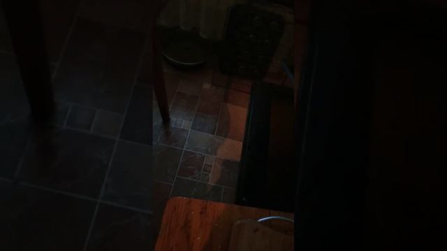 #обзор #картошкавдуховке #курочкаряба #цена #тестим #картофель #80тнг