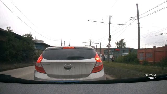 Собака переходит дорогу по зебре.