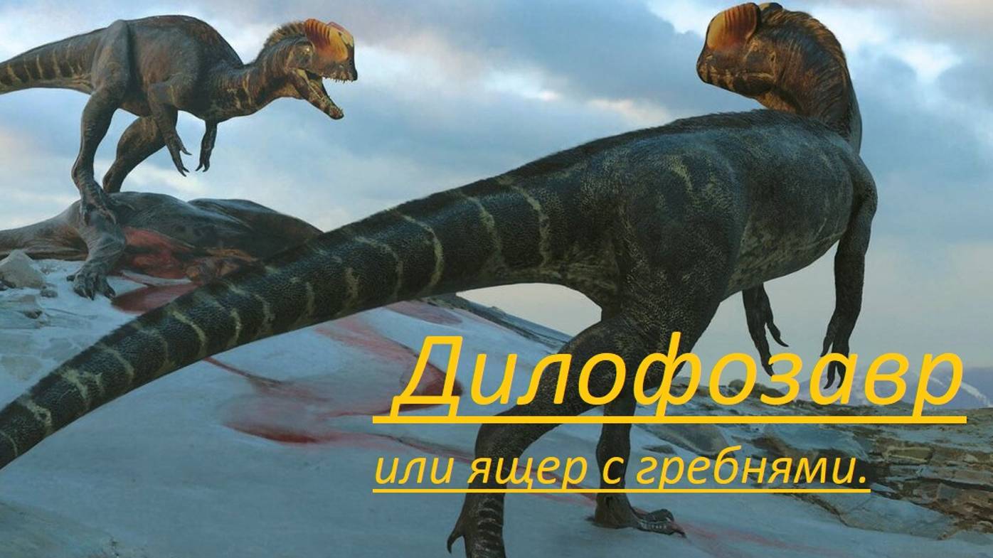 Дилофозавр. Динозавр с короной.