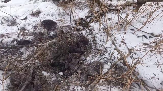 5581577dfc8ffd8d24e59fa21926d0ce