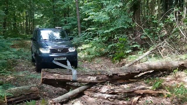 УАЗ Патриот в лесу