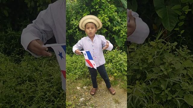 Bandera Panameña, Autora Hersilia Ramos Argote. 2021.