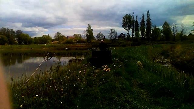 Белый амур  Зарыбление1
