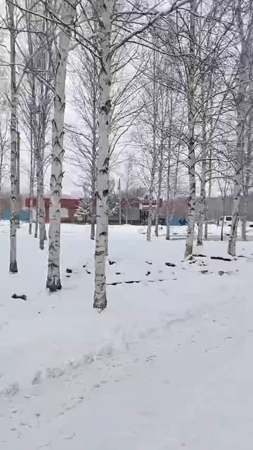 1000187960.mp4