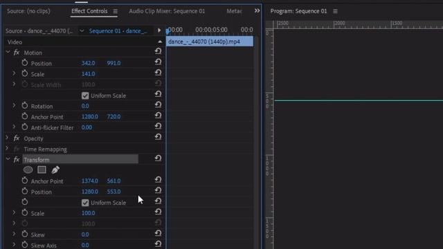 Face Blur + Focus Premiere Pro (QUICK)