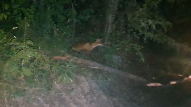 Розовые скалы 1