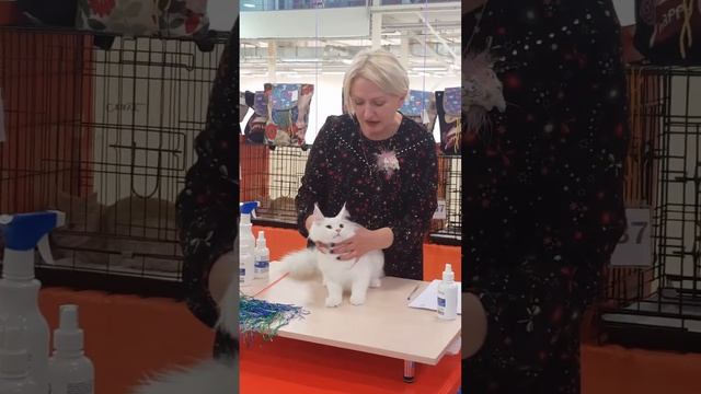 2adc0cbdbe852a311a629a7782e7c39f