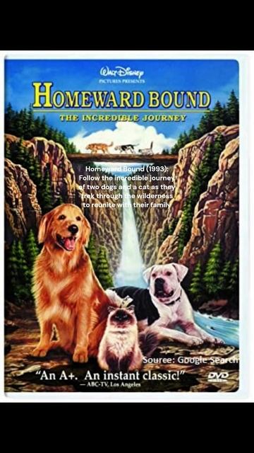 Top 5 Pet Lover Movies Based On Reviews And Ratings #shorts