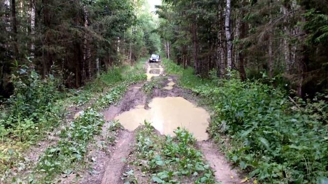 УАЗ ПАТРИОТ в лесу 2015 5