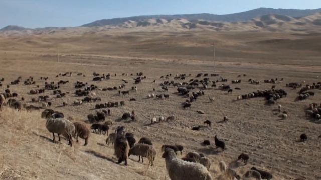 A457301ad930824c540328e5e9f72fc6