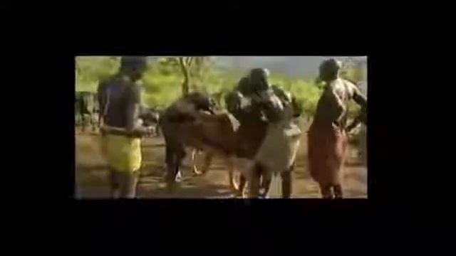 Himba Tribes Life At Small African Village Culture