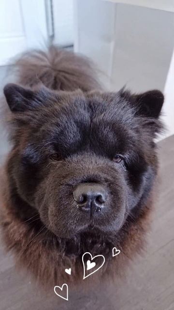 86cb280ac407f6f595d9d0320d01a306