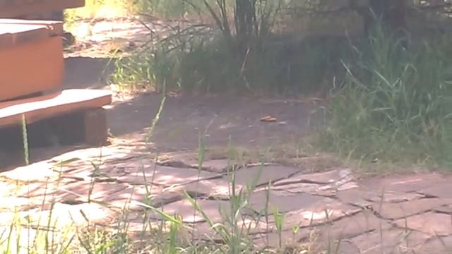 1297a58176a3008b6c8c2b0a0cdb6c61