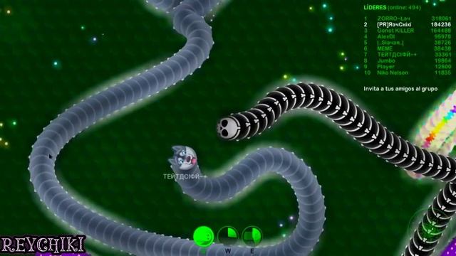 💥Wormax.io - The Best Moments #11 - CLAN PR💥