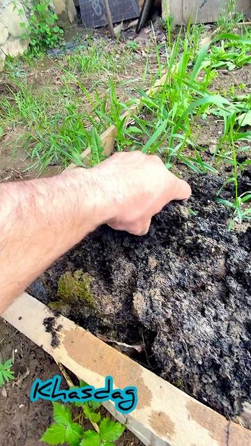 Просто релакс