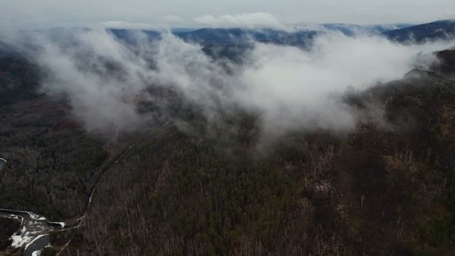 Тальянская СОШ