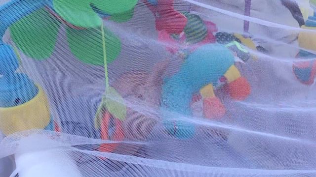 Миха играет с бегемотом даже во сне