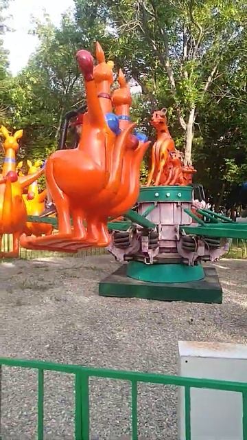 Качаемся на кенгуру.