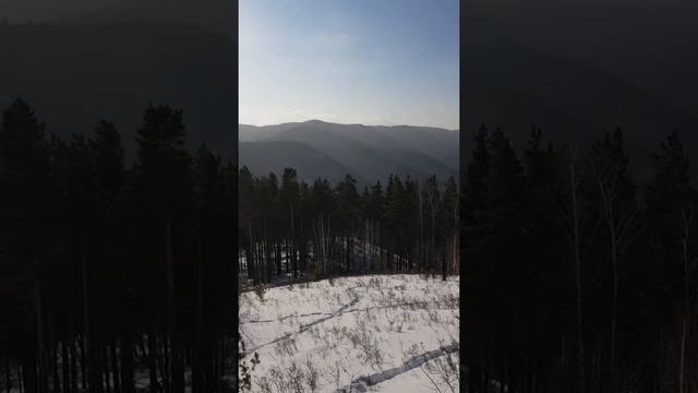 Бобровый лог 31.01.20г